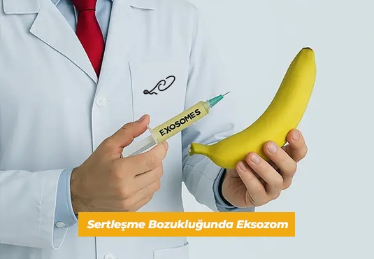 Eksozom İle Sertleşme Bozukluğu Tedavisi